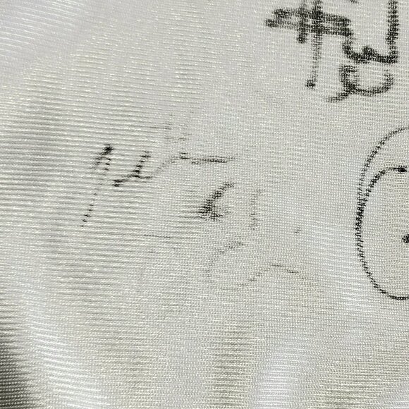 Signed '06 Jr Argos Football Camp XL/XXL Jersey With 9 Toronto Argo Signatures!! - Picture 10 of 12